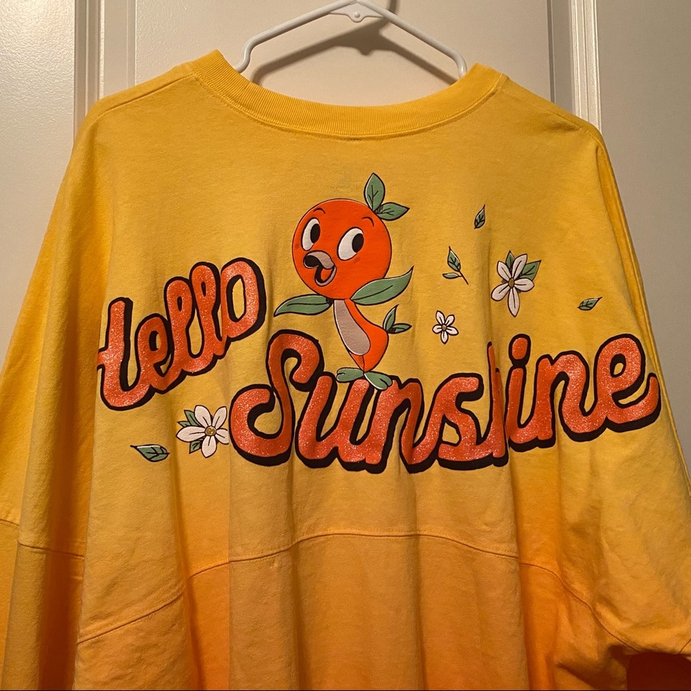 RARE 2020 Orange Bird Disney Spirit Jersey XL